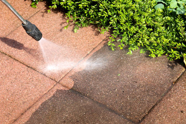 Best Pressure Washing Company Near Me  in Annapolis Neck, MD
